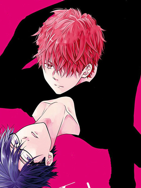 君岛兄弟的本愿