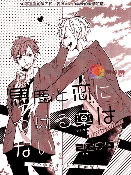 笨蛋和坠入爱河者都无药可救