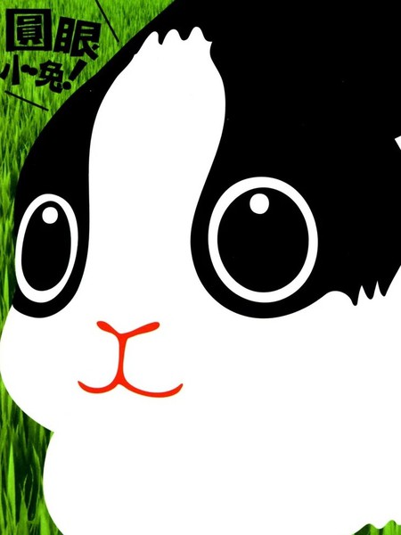 圆眼小兔