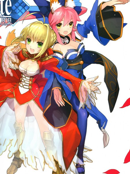 FateEXTRA画集
