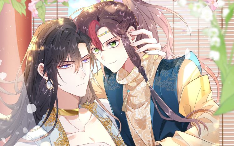 野狐狸与高岭花谁会先掉马?