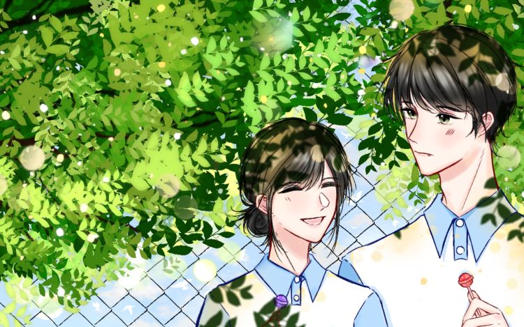 十七岁的蝉鸣没说谎