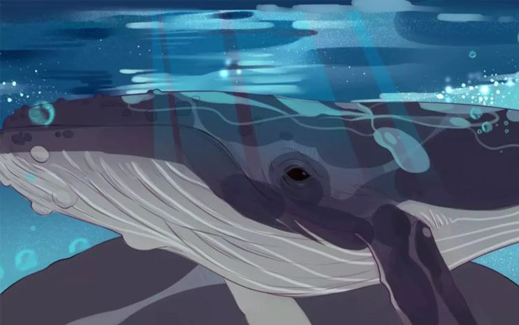 海风吹过的地方