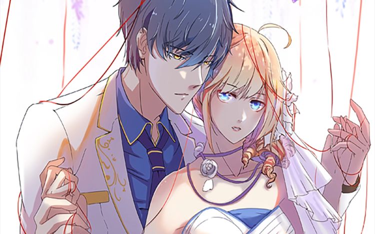 总裁，别退货啊！