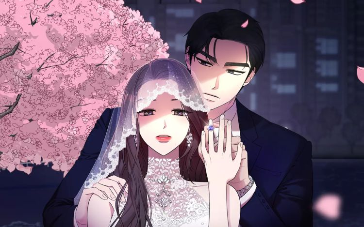 请和我的老公结婚