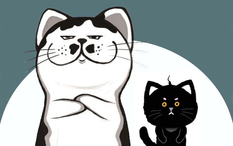 学霸猫Moni的大学生活