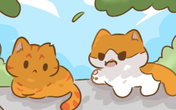 从来不是流浪猫