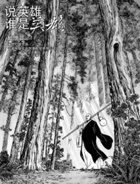 说英雄,谁是英雄