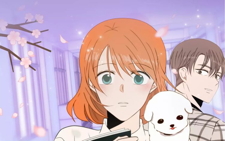 每天可爱一点点