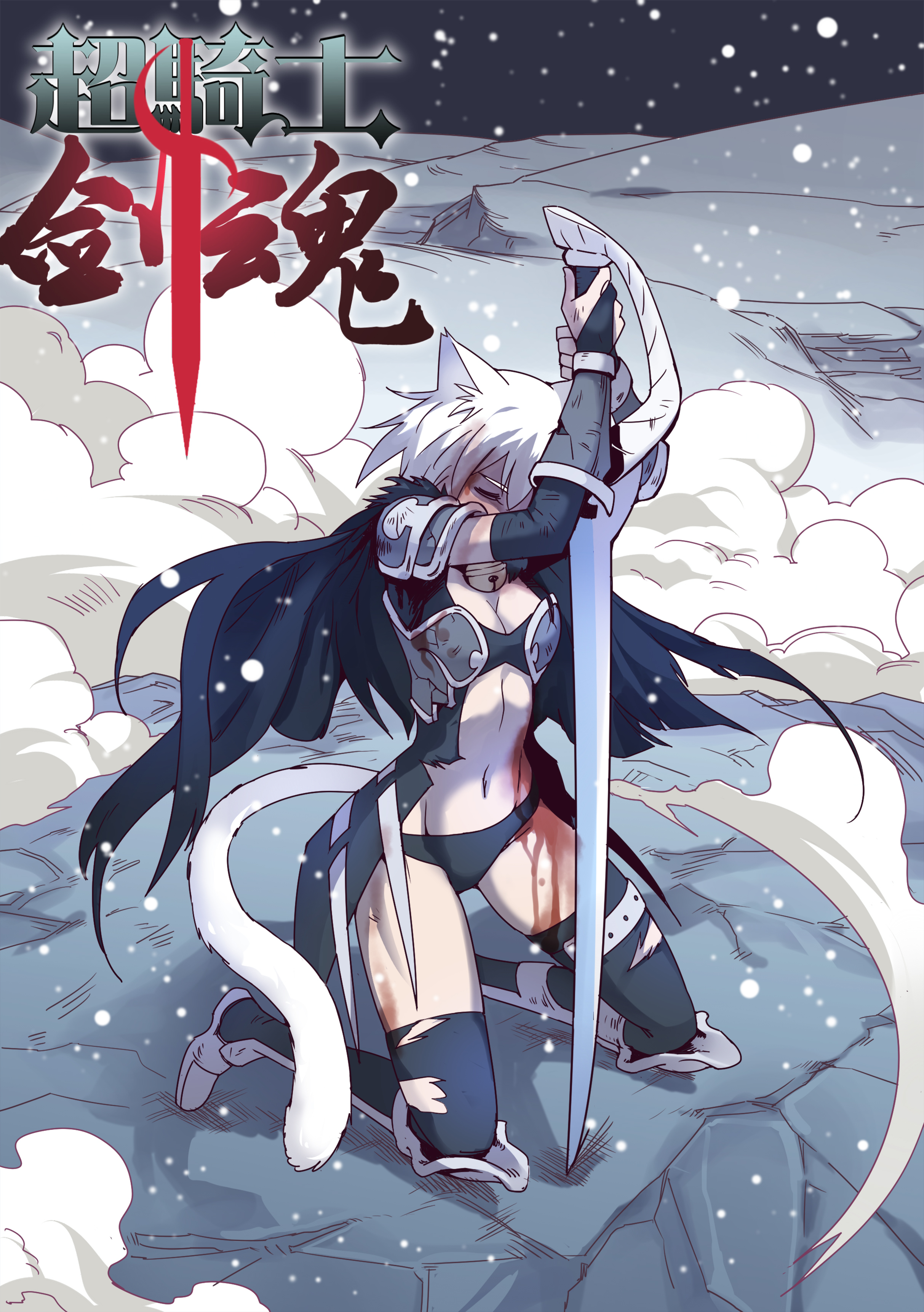 超骑士剑魂 - TSWL