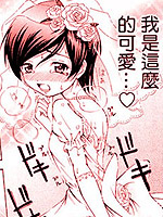 秘密的新娘小姐