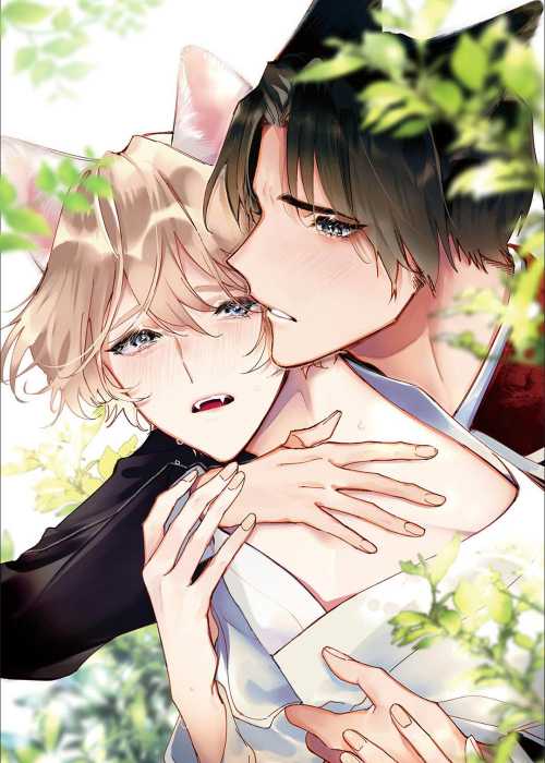 天作之合 - LLLinan